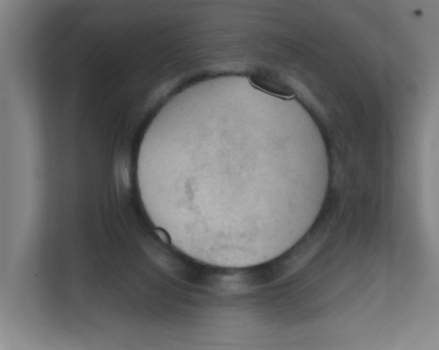X0000111860068200908201306