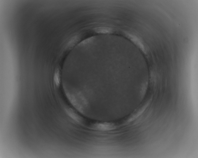 X0000111860069200908201306
