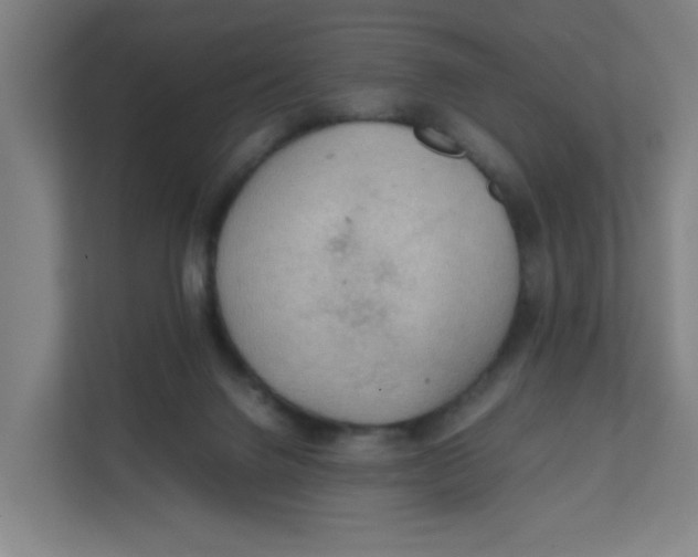 X0000111860072200908201306