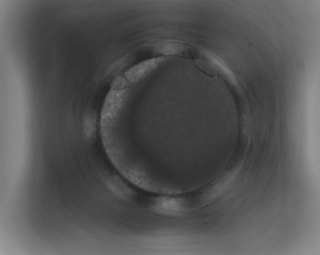 X0000111860073200908201306