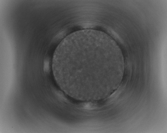 X0000111860074200908201306