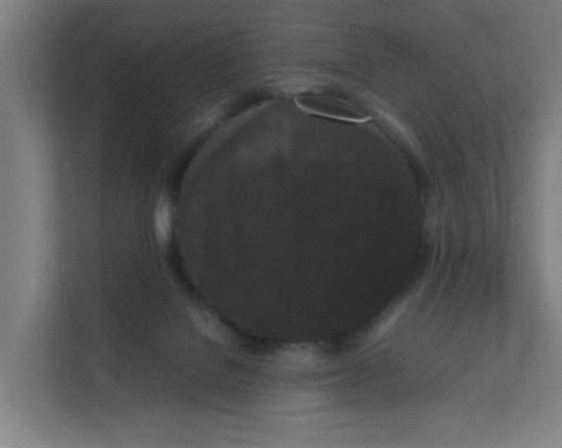 X0000111860076200908201306