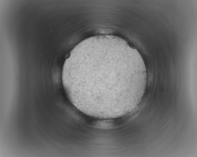 X0000111860078200908201306