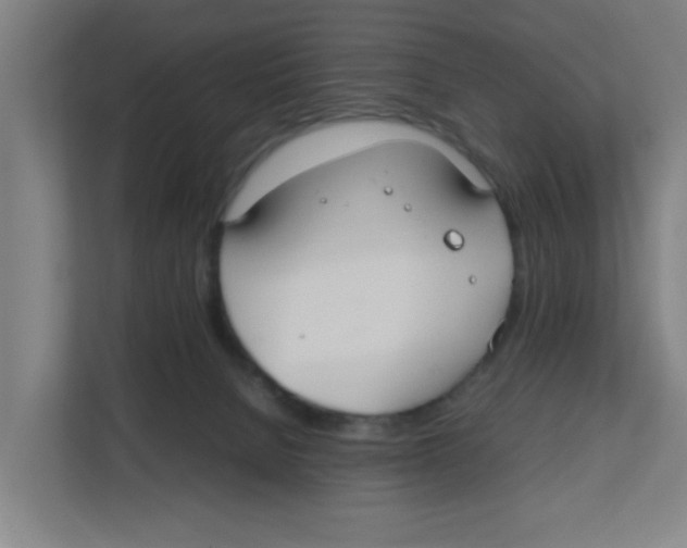 X0000111860080200908201306
