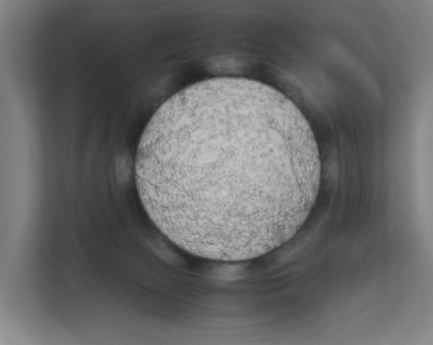 X0000111860081200908201306