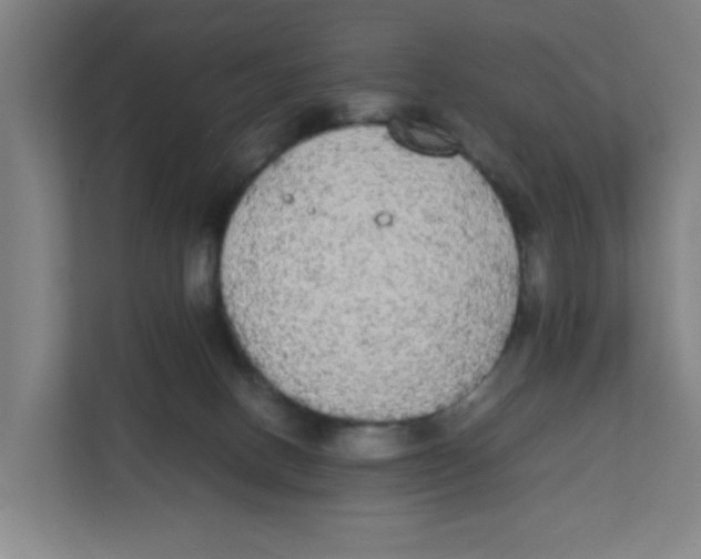 X0000111860082200908201306