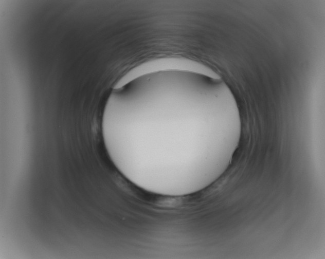X0000111860084200908201306