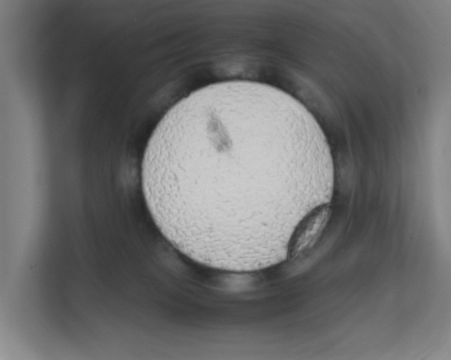 X0000111860085200908201306