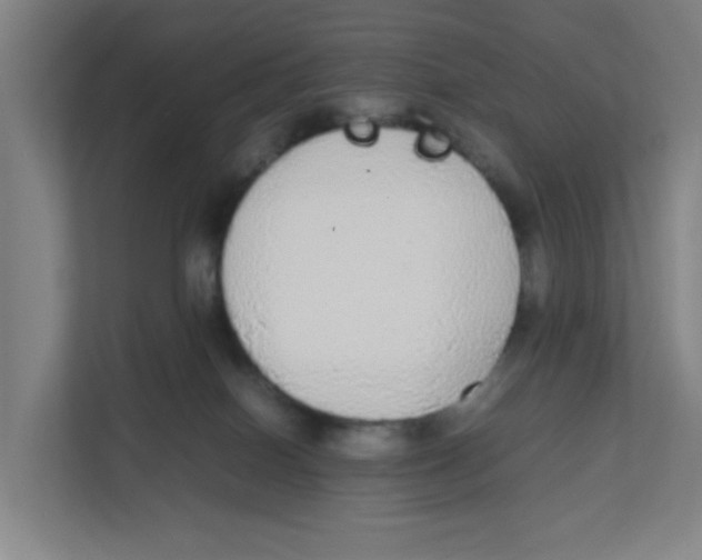 X0000111860086200908201306