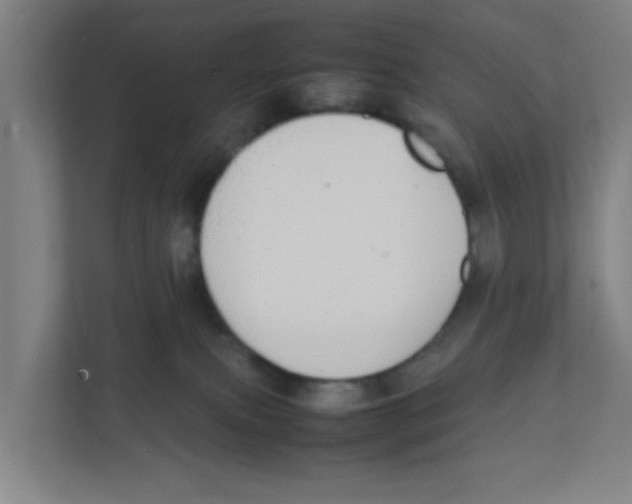 X0000111860087200908201306