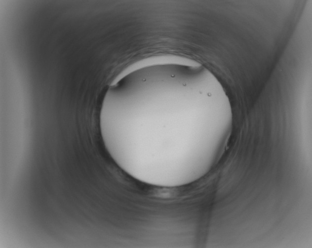 X0000111860088200908201306