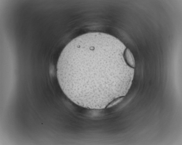 X0000111860089200908201306
