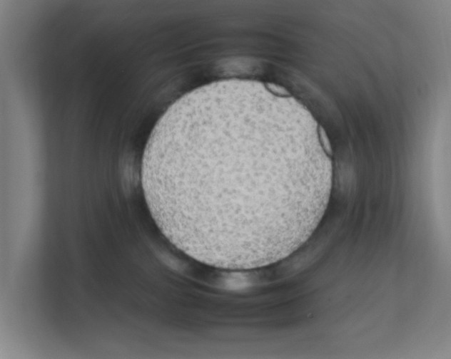 X0000111860091200908201306