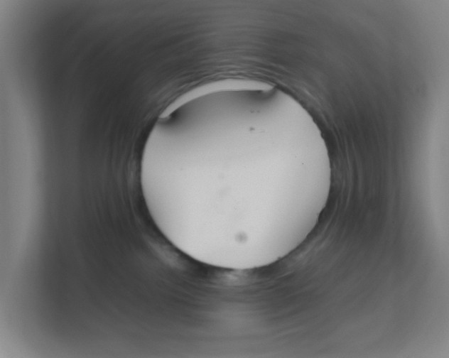 X0000111860092200908201306