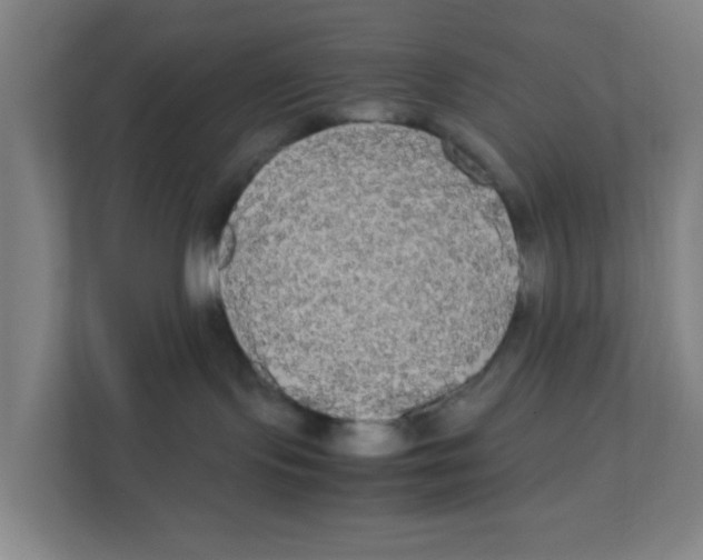 X0000111860095200908201306