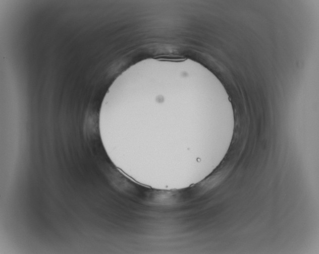 X0000111860096200908201306