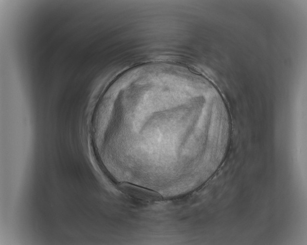 X0000111860097200908201306
