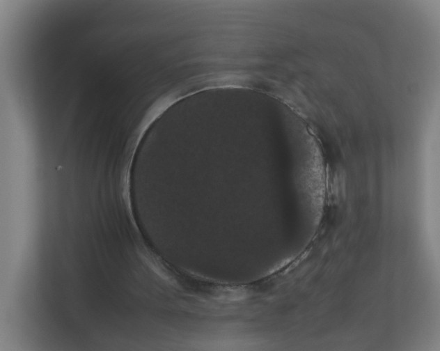X0000111860099200908201306