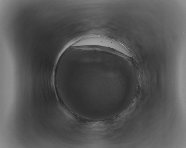 X0000111860100200908201306