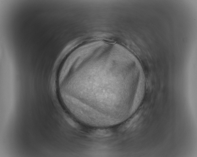 X0000111860101200908201306