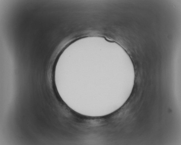 X0000111860103200908201306
