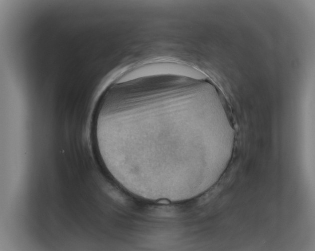 X0000111860104200908201306