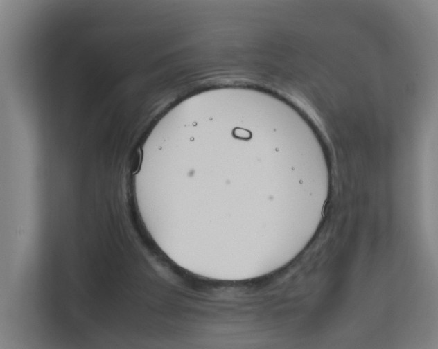 X0000111860105200908201306