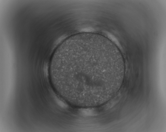 X0000111860106200908201306