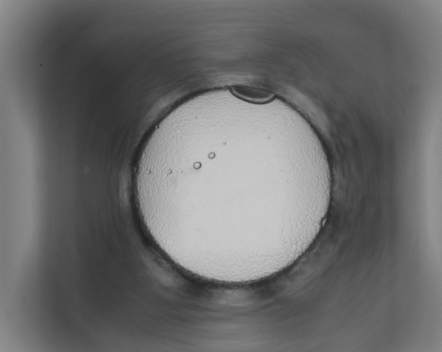 X0000111860107200908201305