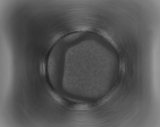 X0000111860110200908201305