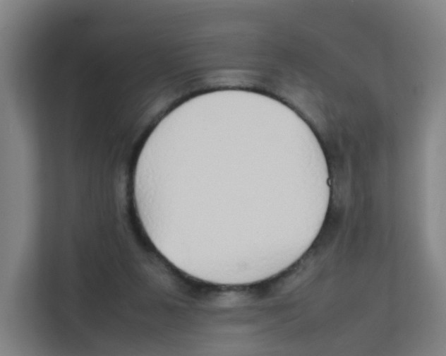 X0000111860111200908201305