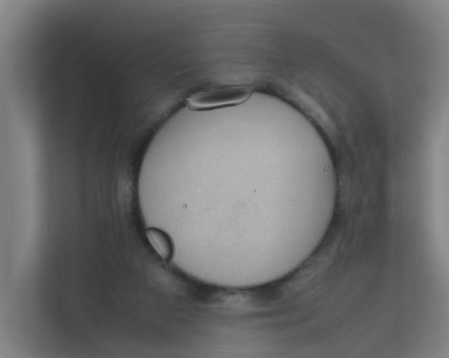X0000111860113200908201305