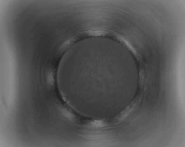 X0000111860114200908201305
