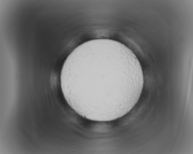 X0000111860123200908201305
