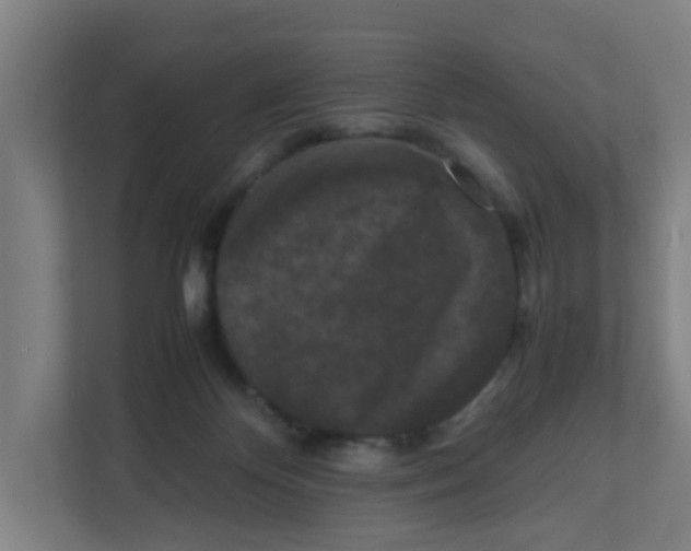 X0000111860124200908201305