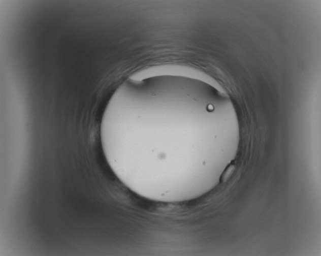 X0000111860125200908201305