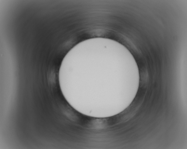 X0000111860126200908201305