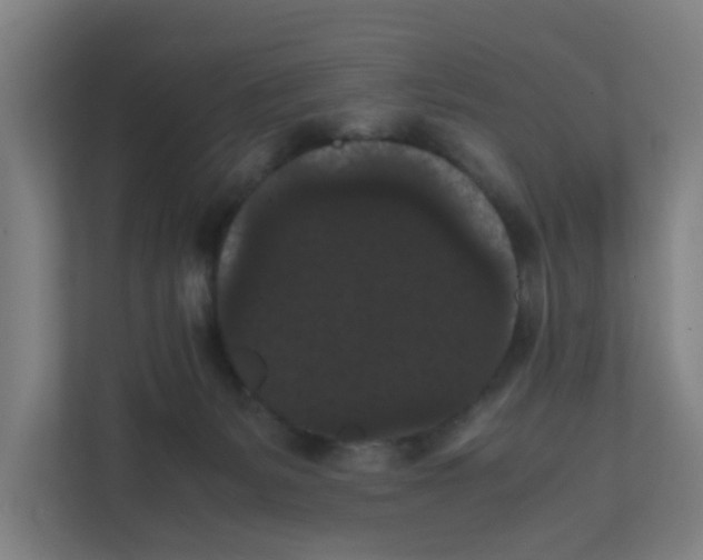 X0000111860127200908201305