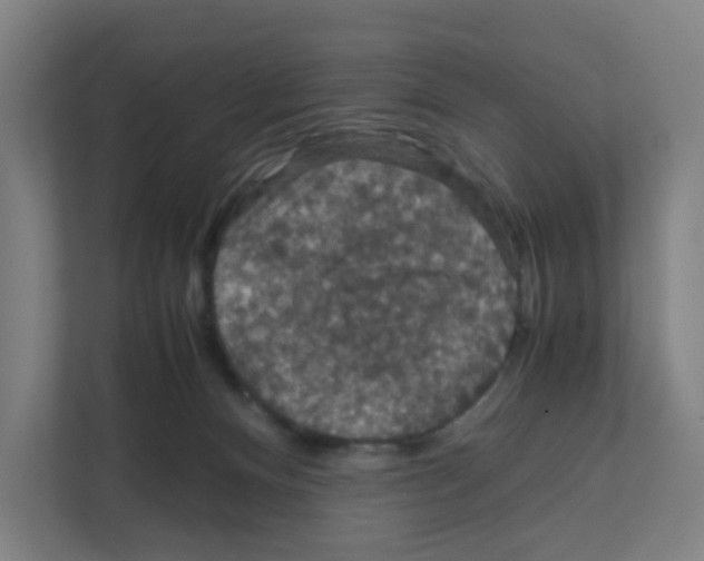 X0000111860128200908201305