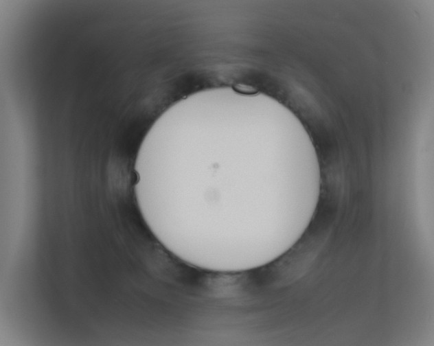 X0000111860129200908201305