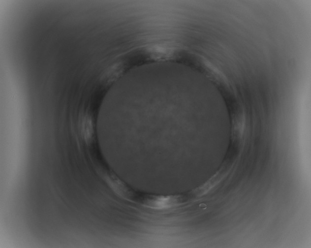 X0000111860130200908201305