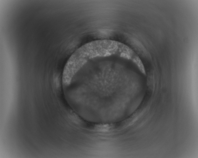 X0000111860131200908201305