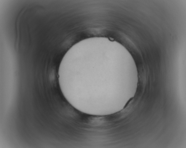 X0000111860132200908201305