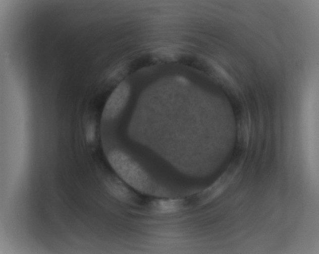 X0000111860134200908201305