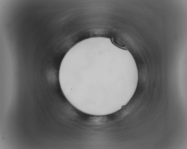 X0000111860135200908201305