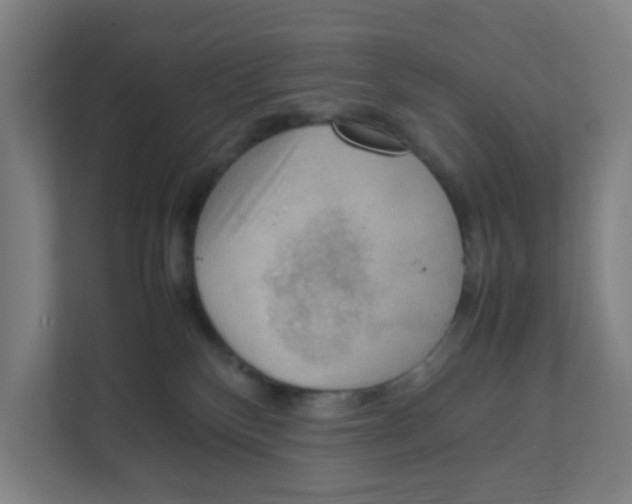 X0000111860136200908201305