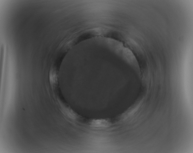 X0000111860137200908201305