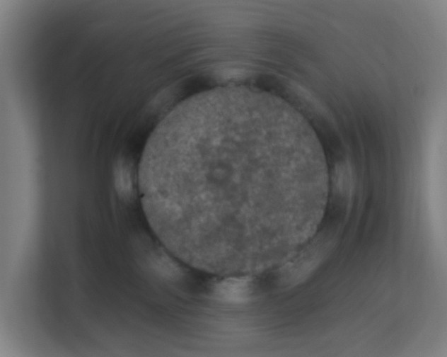X0000111860138200908201305