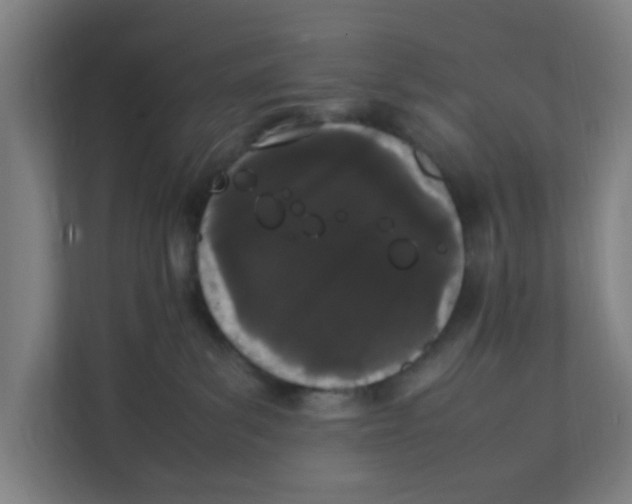 X0000111860139200908201305