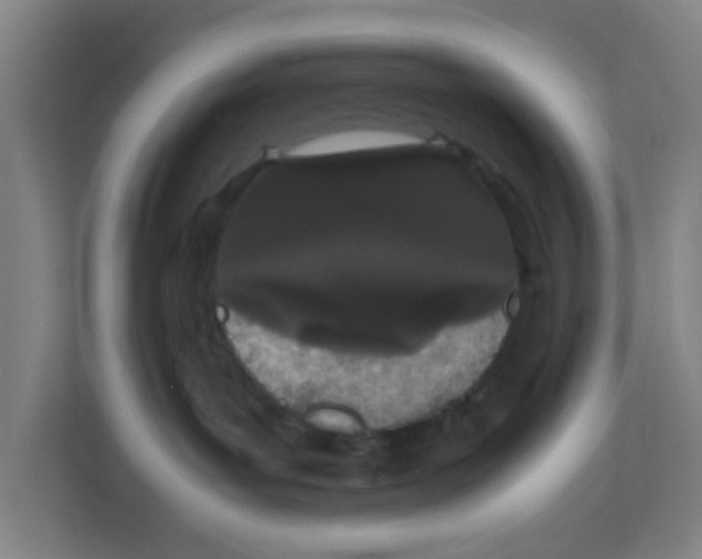 X0000111860143200908201305